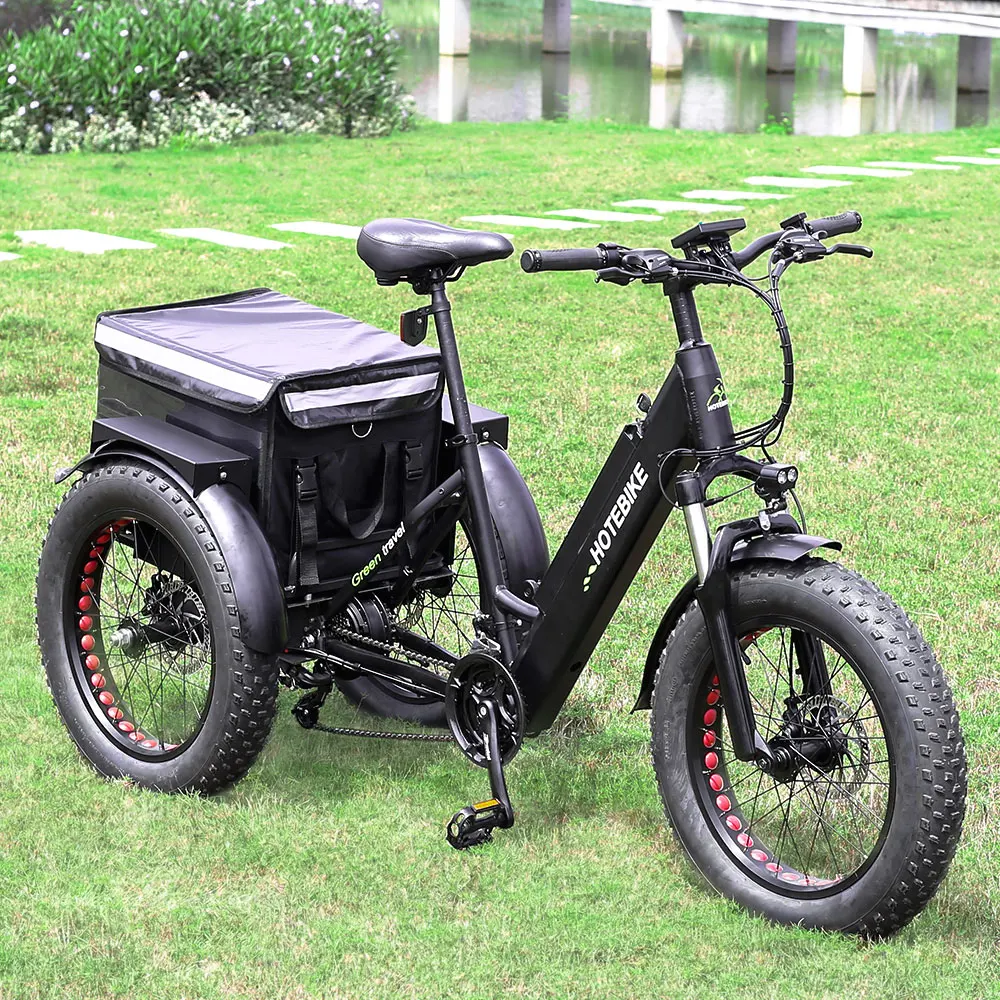 electric bicycle tricycle 20*4.0 inch Fat tire electric cargo tricycle for adult 36V350W electric tricycles three wheel
