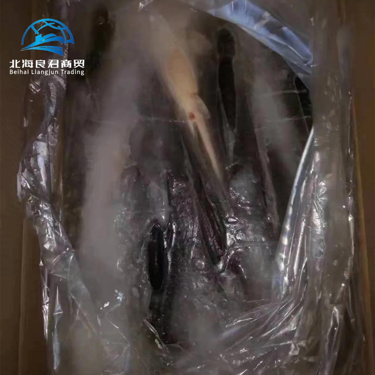 Wholesale supplier hot selling specialty natural seafood high-quality and healthy fresh frozen live catfish fish