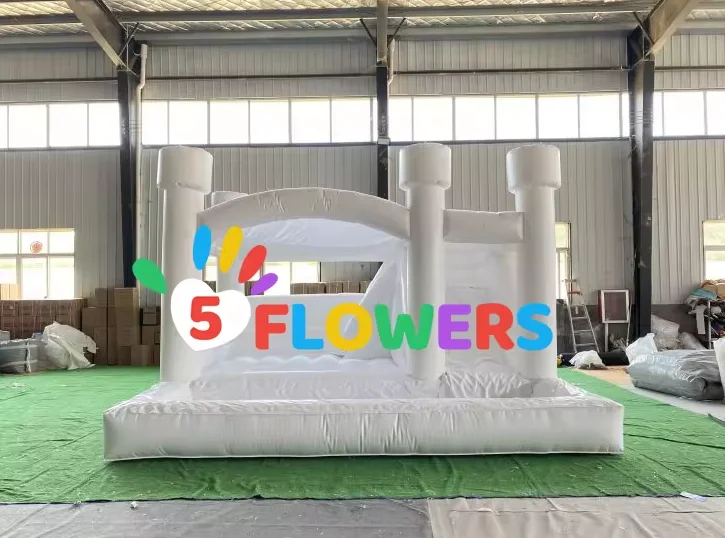 paste-pic-dp_uuid_e1b7u