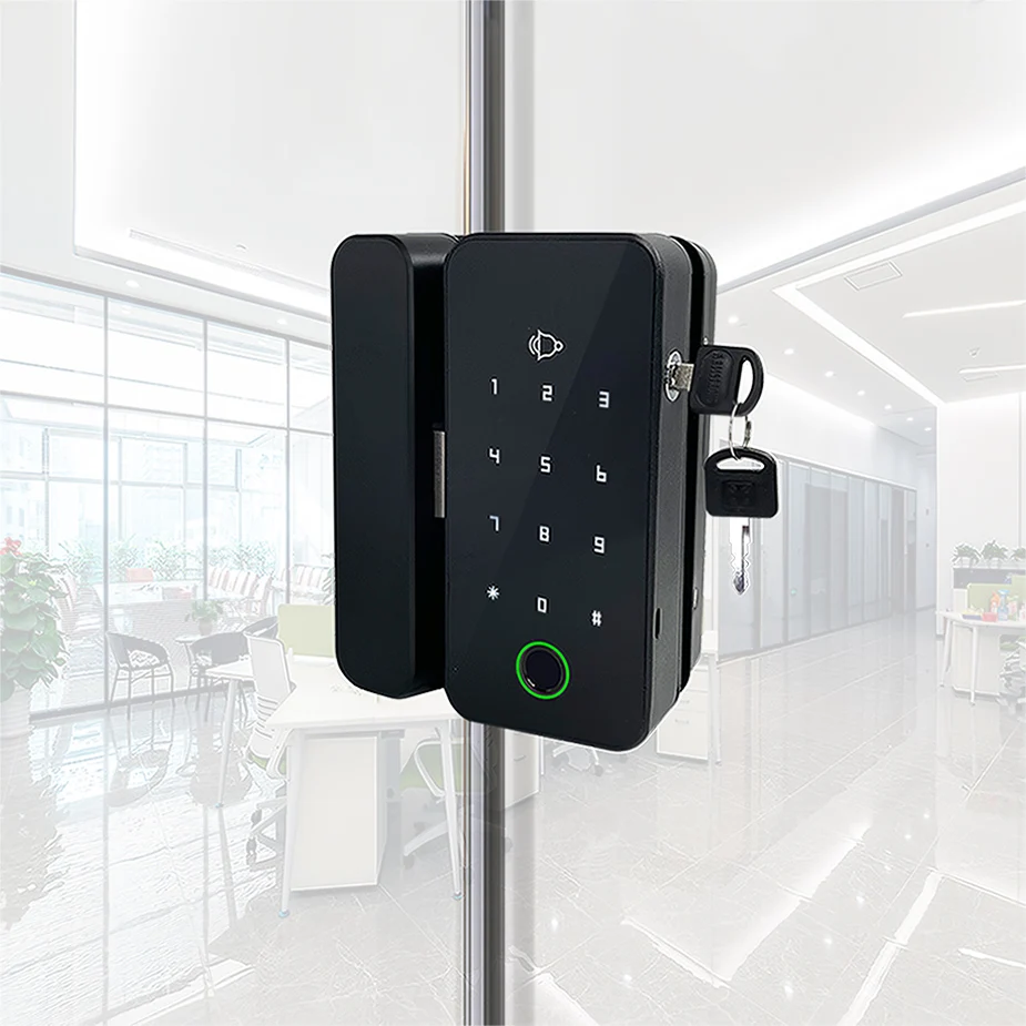 Safety Rim Keyless Wifi Biometric Fingerprint Face Recognition Office Electric Motorized Door Lock