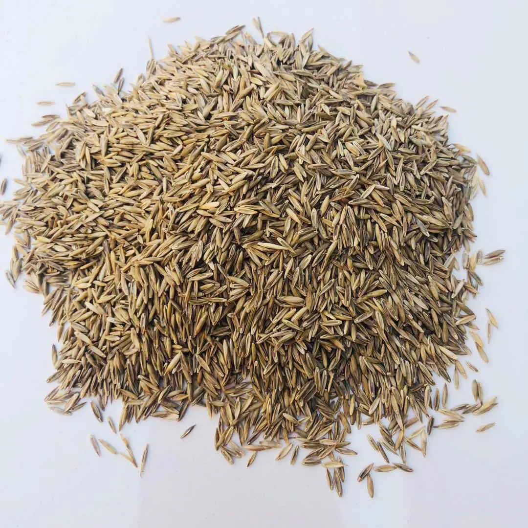 Лидер продаж, семена травы