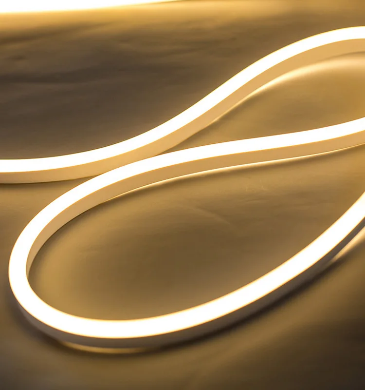 24V 110V 220V 240V working voltage Waterproof full color rgb led neon flex