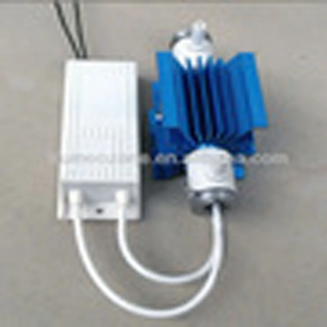 
water treatment 35w Corona 3g,5G SPA Ceramic Tube Ozone Generator Parts From Trume Technology 