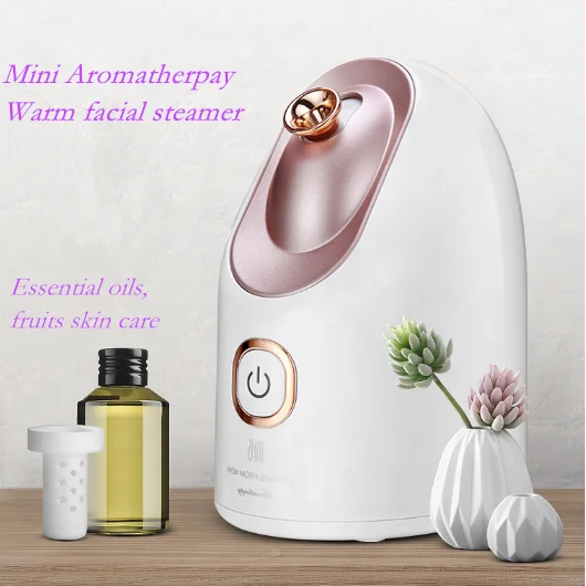 Support Samples Lightening Ionic Handheld Facial Steamer Hot Portable Mini Atomization Facial Steamer