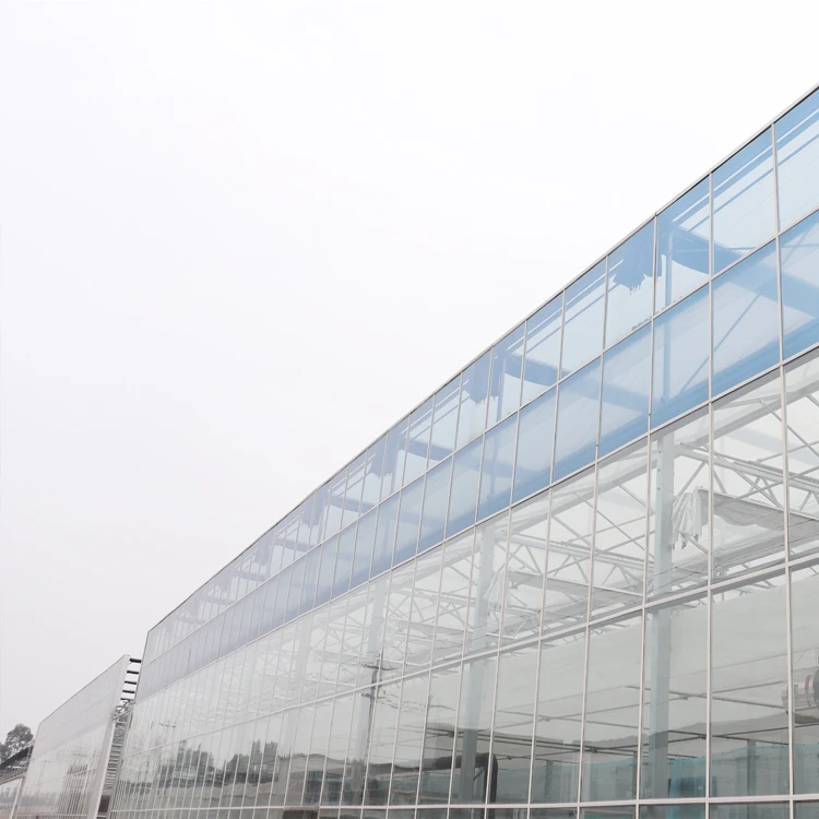 MYXL Large Venlo Multi-span Agricultural Glass Greenhouse
