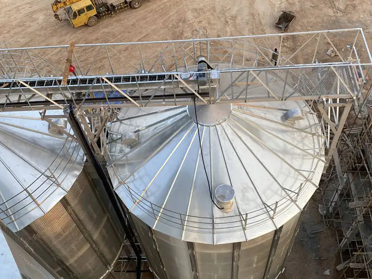 3000 Ton 5000 Tons Steel Silage Grain Storage Maize Silo for Sale