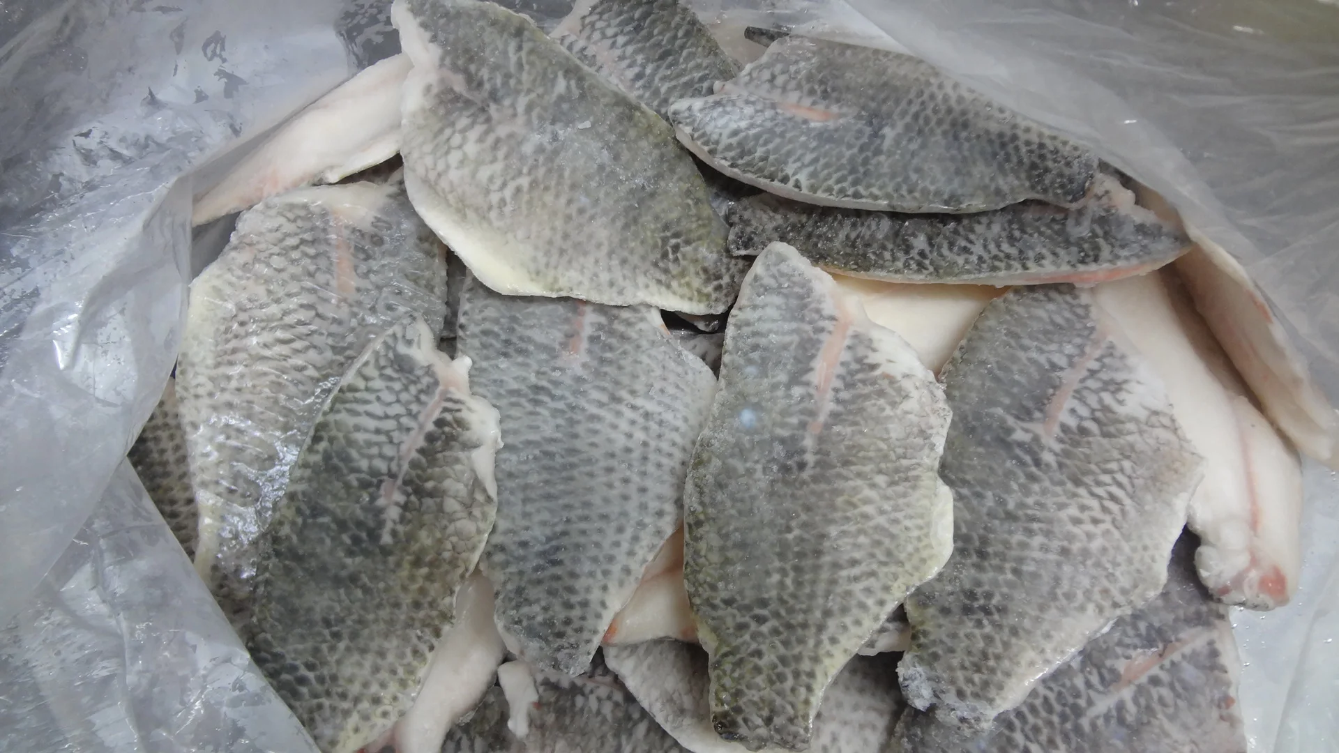 2023 hot-sale China tilapia fillet wholesale price frozen fish frozen seafood Fillet  de tilapia fish ,wholesale tilapia