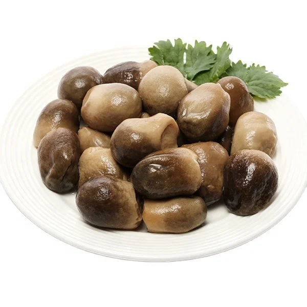 
Best sellers Canned Straw Mushroom 