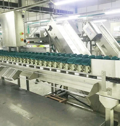 weight sorting machine