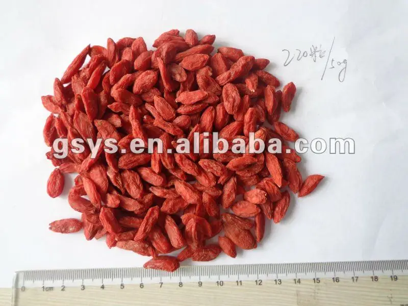 Hot Sale Goji Berry with export dried goji berry