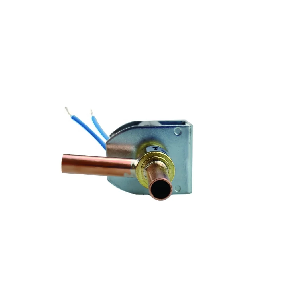 Duling Micro Solenoid Valve AC 220V 110V DC 12V 24V Liquid Line Electric Mini Solenoid Valve