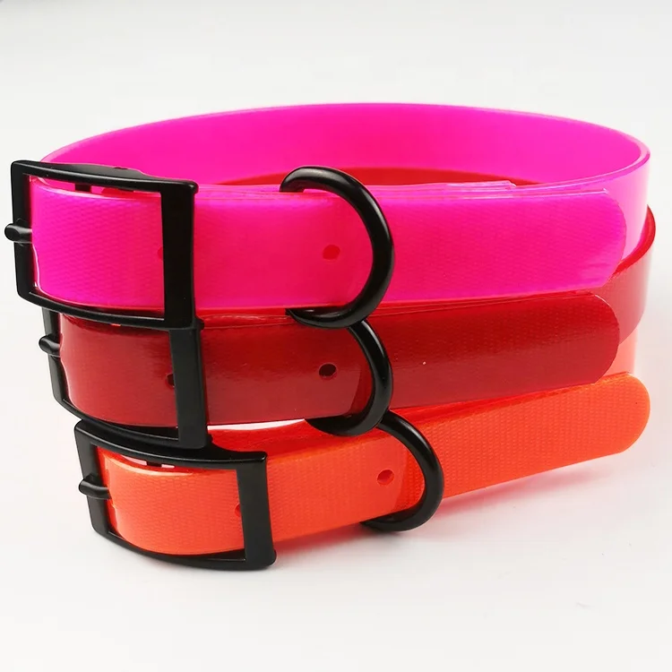 tpu dog collar (12).jpg