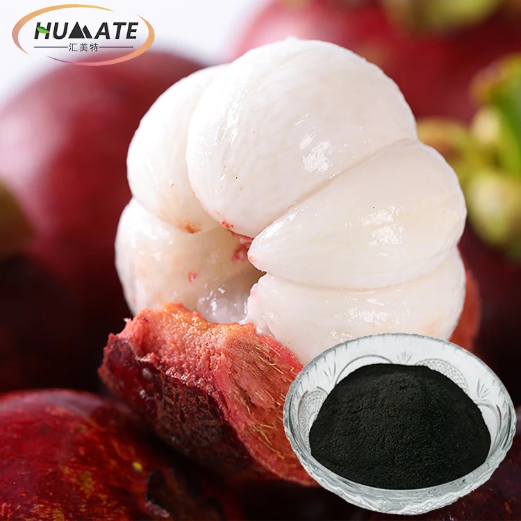Ningxia Humate food grade soluble soil conditioner humic acid potassium humic acid powder price