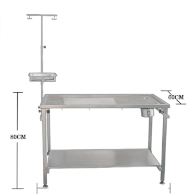 Factory Price Veterinary Equipment High Temperature Stainless Steel Countertop Vet Dissect Table Animal Operating Table
