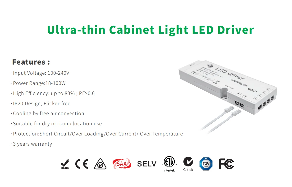 100w IP20 Constant Voltage 12V 24V led driver with 12 pcs 2510 DuPont terminal