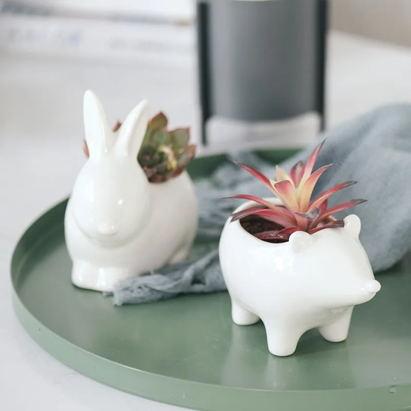 
APHACATOP White Animal Succulent Cactus Plant Flower Pot for Home Decoration SUCCULENT POTS 