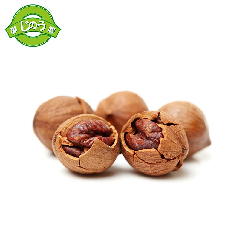 Walnuts/High Quality Chinese walnuts in shell an walnuts kernel