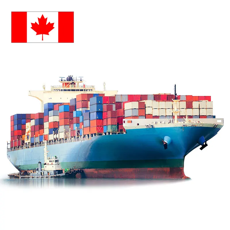 Recommend the cheapest China to Canada shipping agent ddp/DDU Logistics agent Vancouver Toronto Montreal shipping