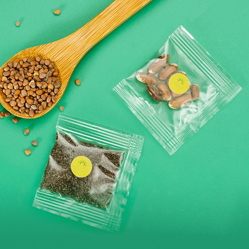 Лидер продаж обучающий домик для наблюдения за растениями Настольная игрушка выращивания семян мини-Солнечная комната игрушки растений научные наборы