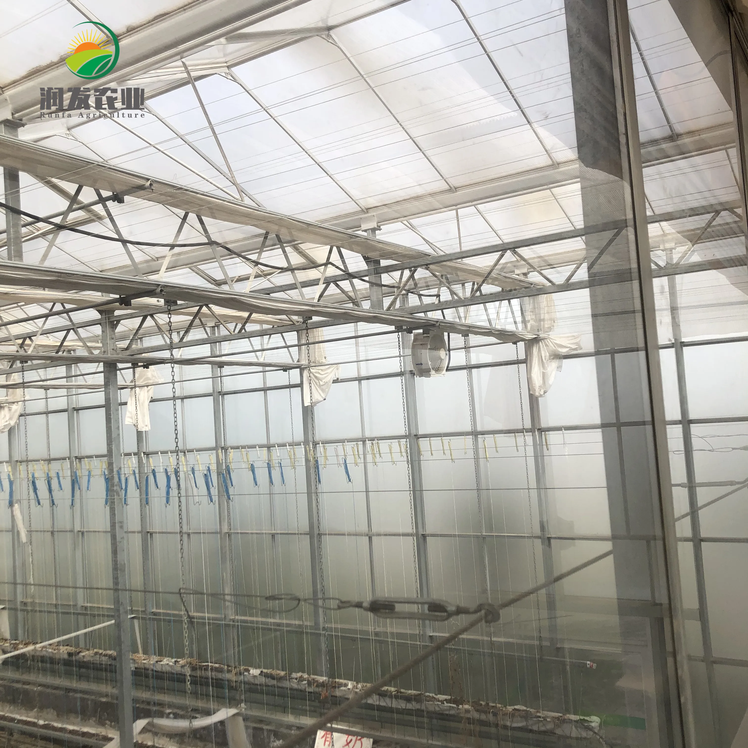 Smart Glass Greenhouse For Soilless Culture System Greenhouses Wholesale