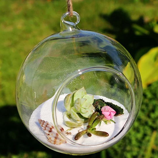 2019 NEW 8cm hanging round glass air plant terrariums for wedding ceiling decorations