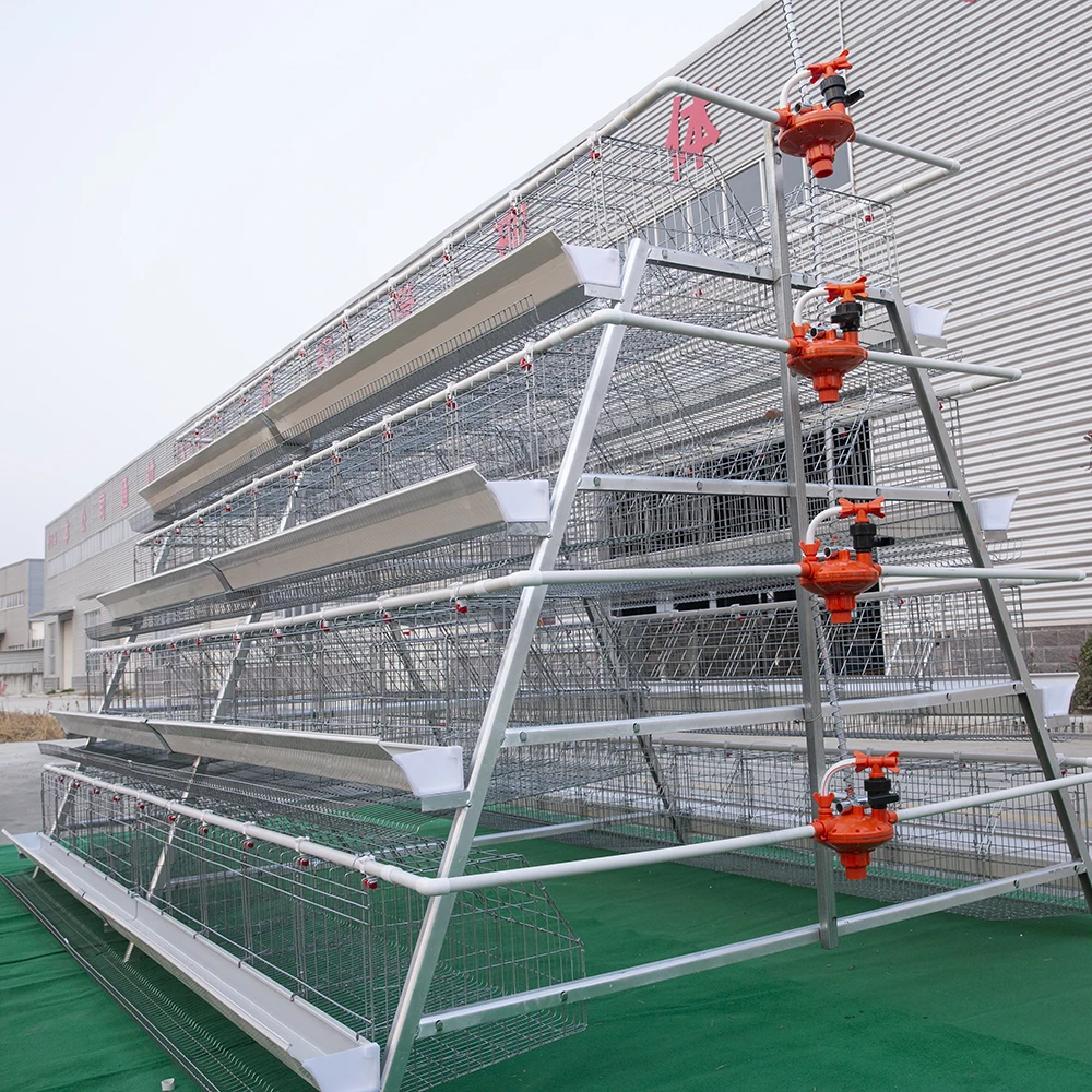 Commercial Chicken Cage Price for Poultry Farm Equipment Egg Laying Chicken Cage for Sale