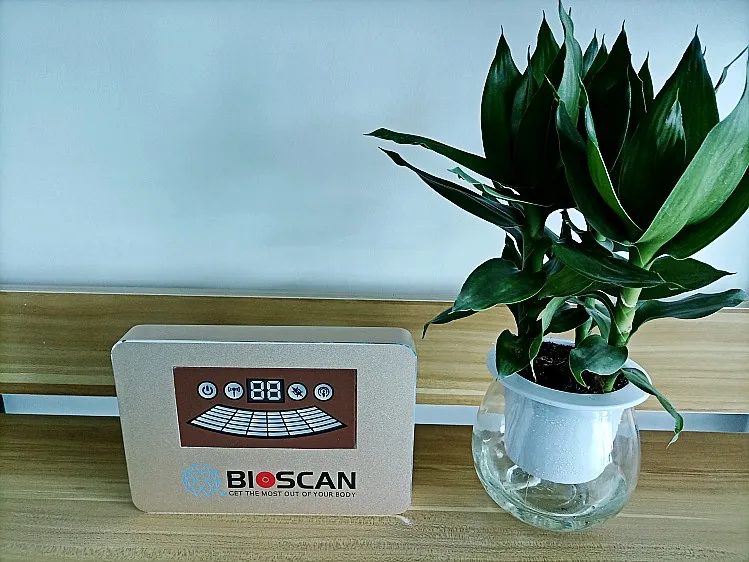 Latest Mini Quantum Resonance Magnetic Analyzer Bio Quantum Magnetic Resonance Body Analyzer