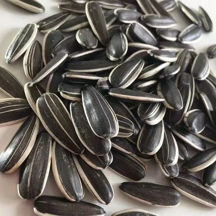 New Crop Chinese Sunflower Seeds 361/601/5009 Sunflower Seed Kernel