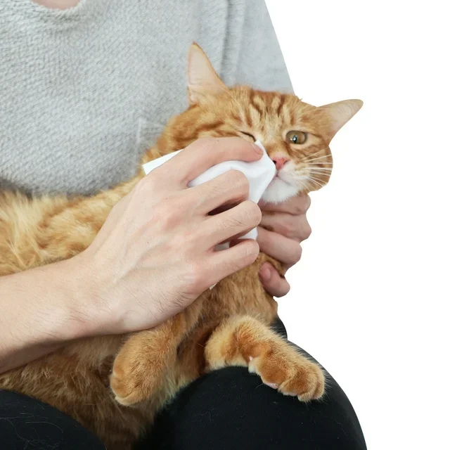 All For Paws Unscented Alcohol Free 120 Cts Pet Ear Wipes Alcohol-Free Pet Eye Wipes Pet Cleaning Wipes For Dog Cat Grooming