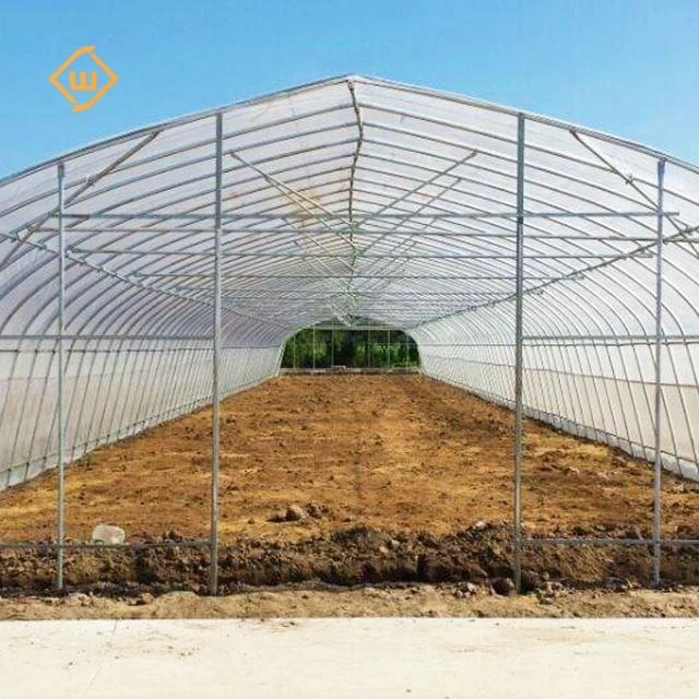 Fully automatic shading single-span greenhouse