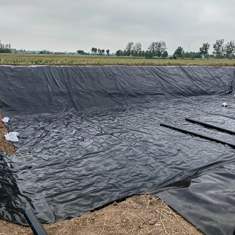 HDPE геомембранный водостойкий ПВХ промышленный дизайн 1 0 мм модельные цвета-черный белый синий зеленый аквакультура применение