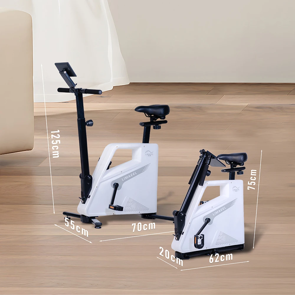 Foldable Convenient Home Exercise Bike Storable Electricity Generating Bike for Home Use