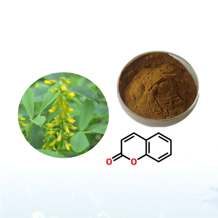 Factory Supply Sweet Clover (Melilotus officinalis ) Extract Powder 4:1, 10:1, 20:1 Coumarin powder 5% 10%