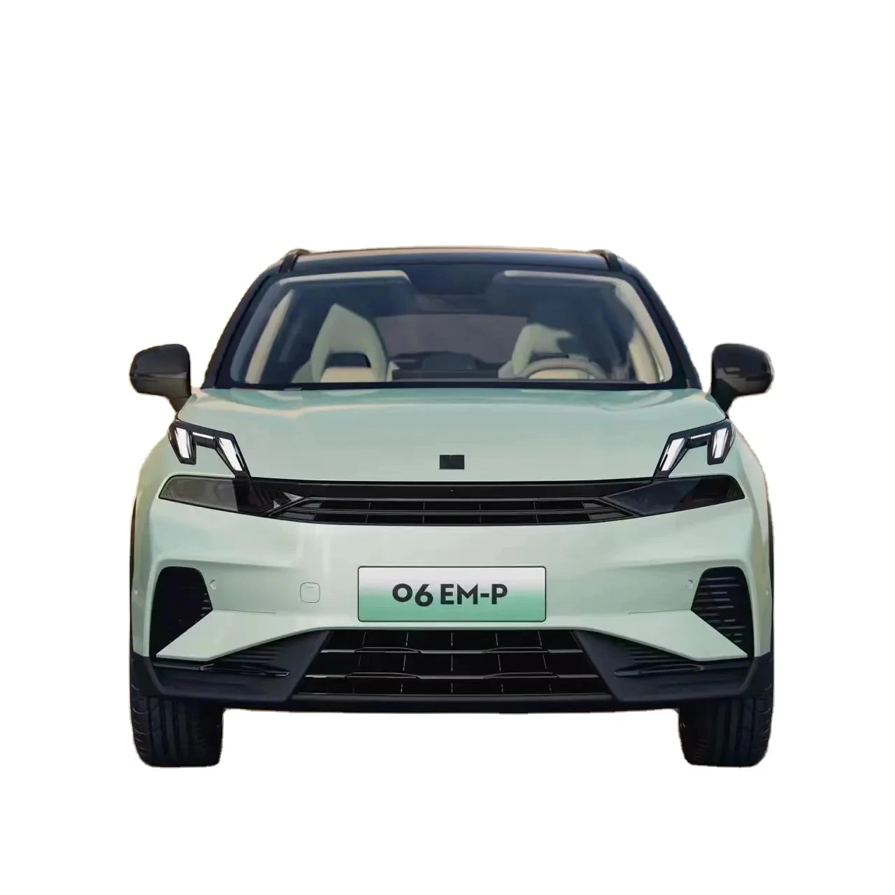 Hot Sale  Electronic Car  Chinese Brand China New Energy Used Car