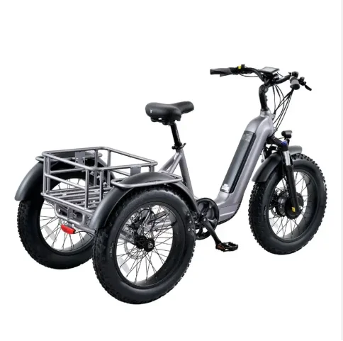 Best quality 3 wheel electric tricycle 20 inch fat tire electric trike cargo electric bike electric pedicab