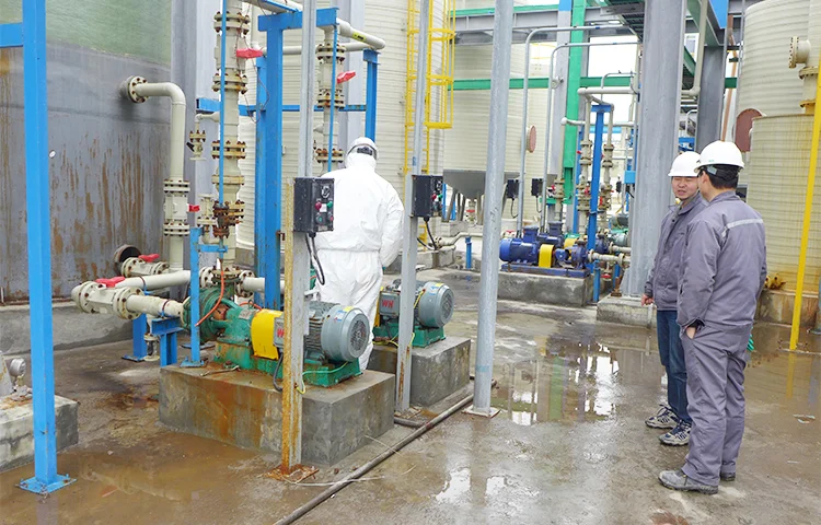 Salt Water Brine Pump, Salt Water Heat Pump, Pompe Pvdf Hcl