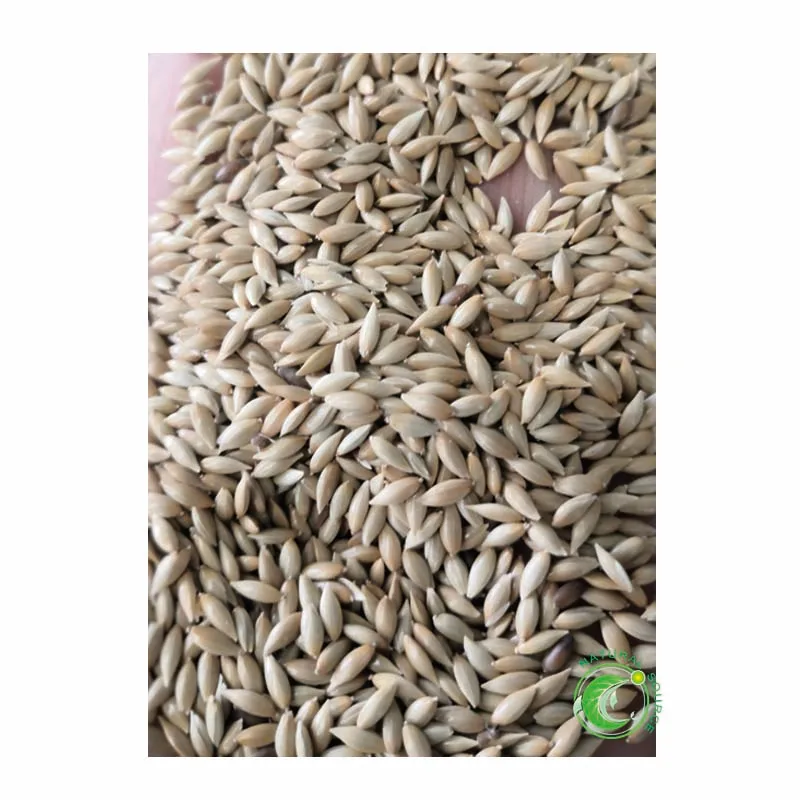 Pure Natural Canary Seeds For Birds Food