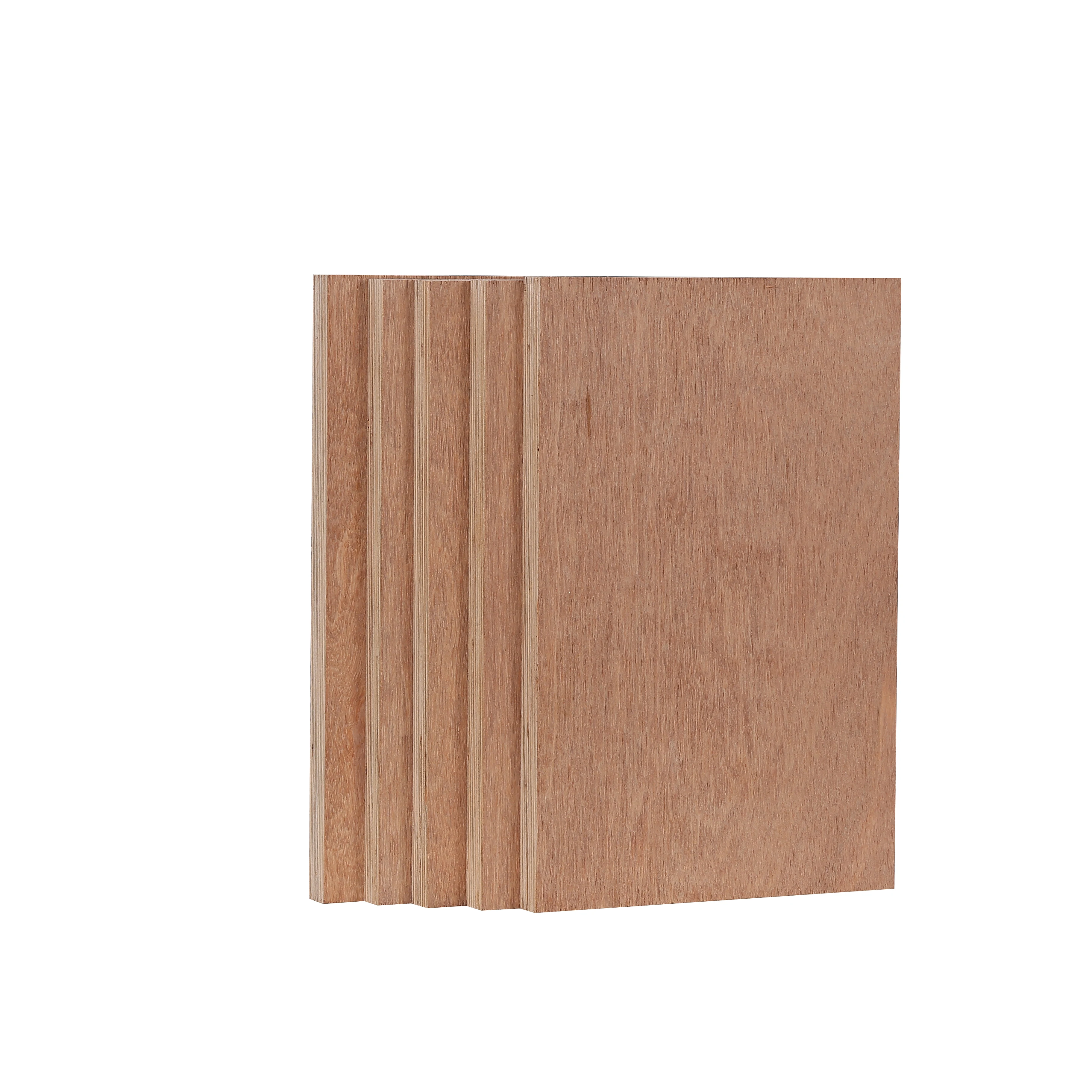 Outer Use Plywood Sheet 18mm 4X8 Marine Plywood BS1088 Standard Keruing Face Eucalyptus Core BB/BB FSC CE JAS F4 Stars Anti-Wate