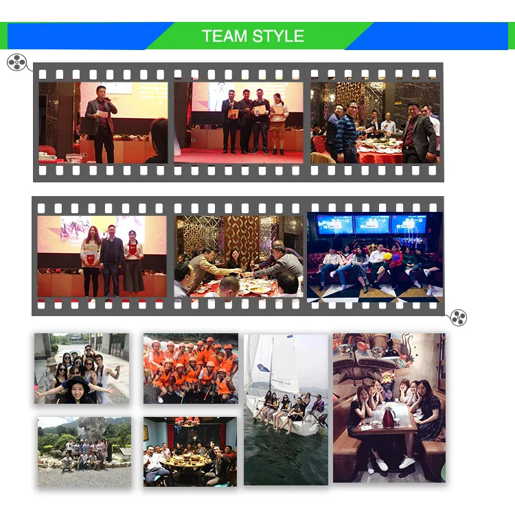 Customized 7.4v 500mah lipo battery