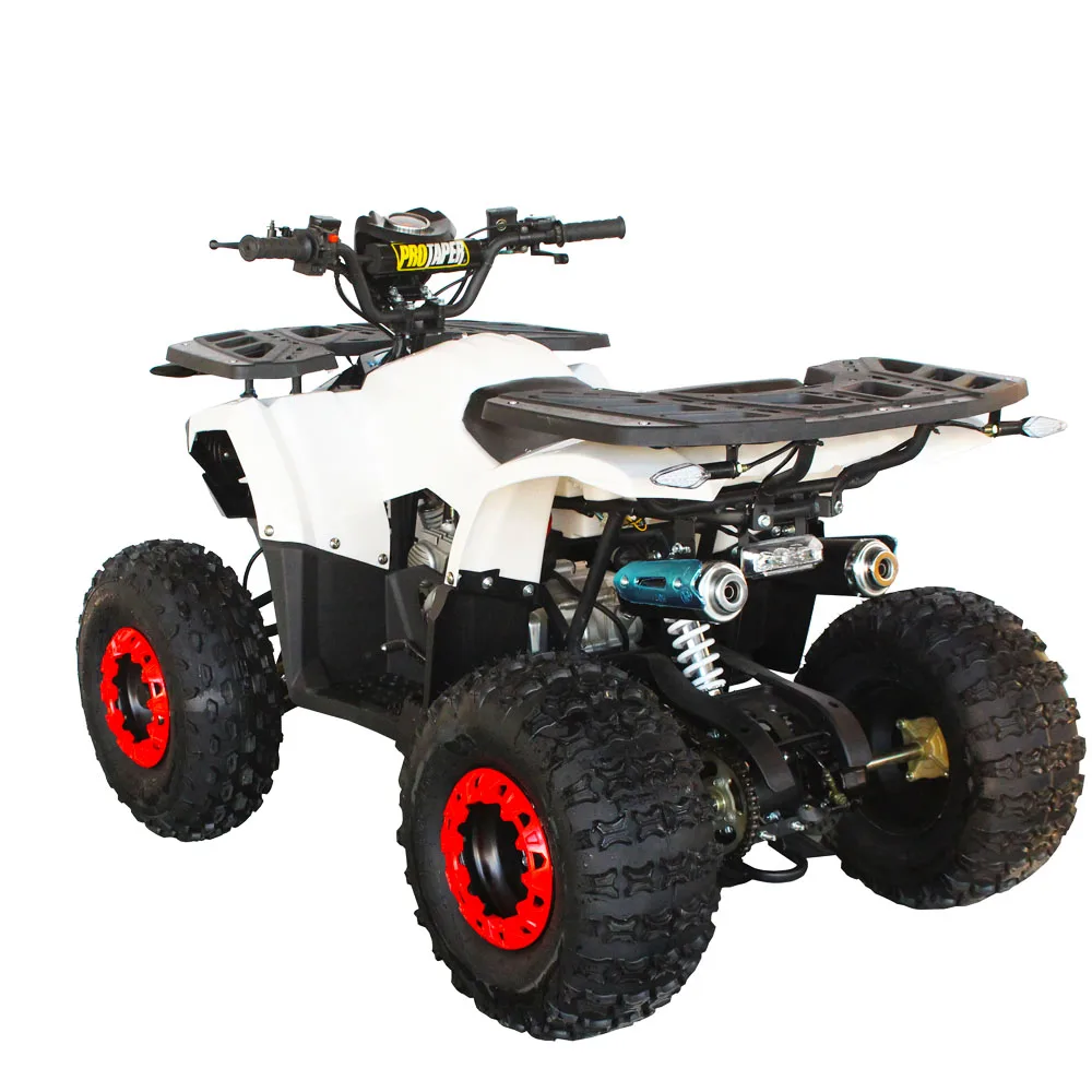 Adult gas powered panther 125cc atv four wheelers