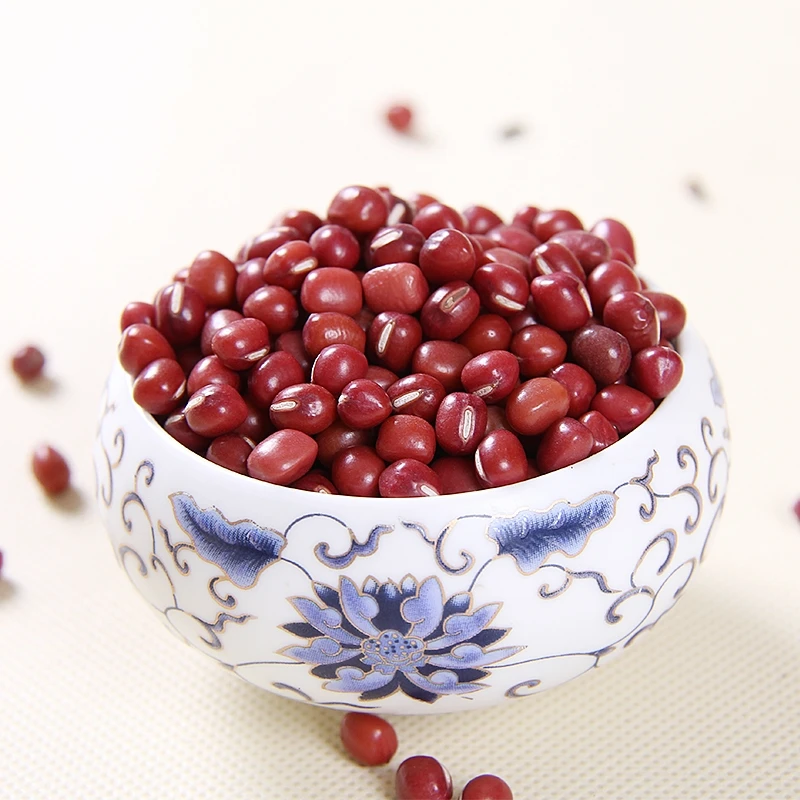 Best Quality Crop Small Red Bean with Competitive Price