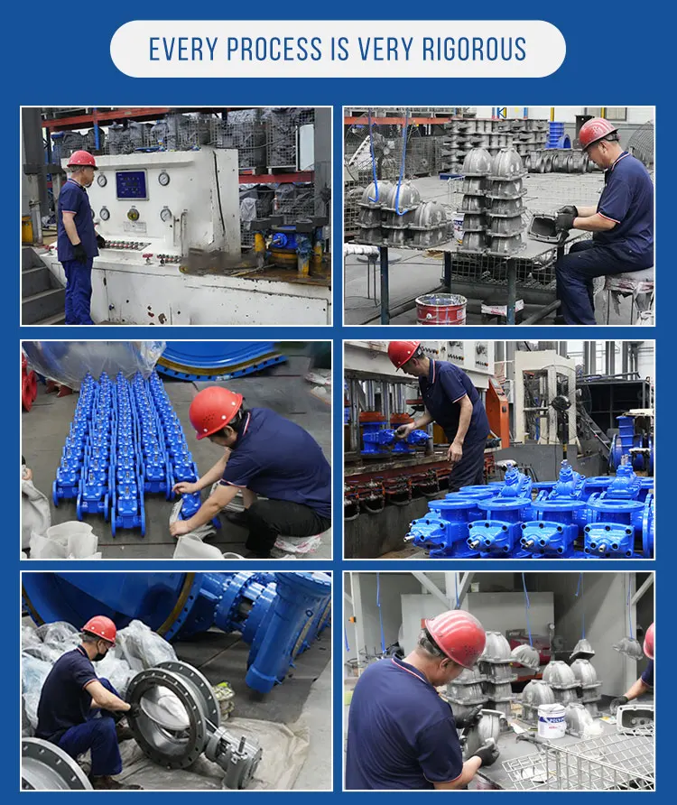 butterfly valve (9).jpg