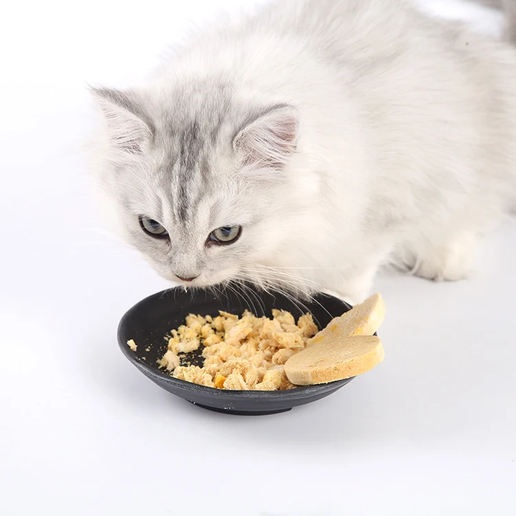 Wholesale Special New Pet Food Freeze-Dried Salmon Adult Cat Food Snacks Puppy Training Rewards