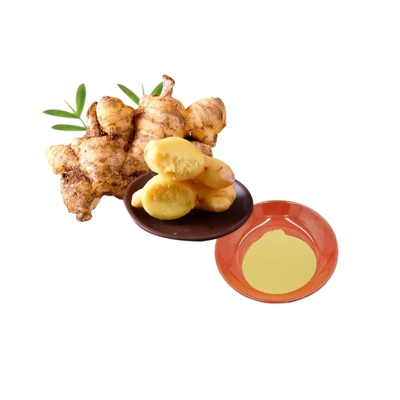Экстракт корня имбиря 5% 10% 20% Gingerol водорастворимый 10:1