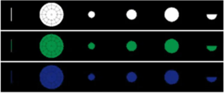 China high quality wholesale wall mounted ear nose throat diagnostic equipment