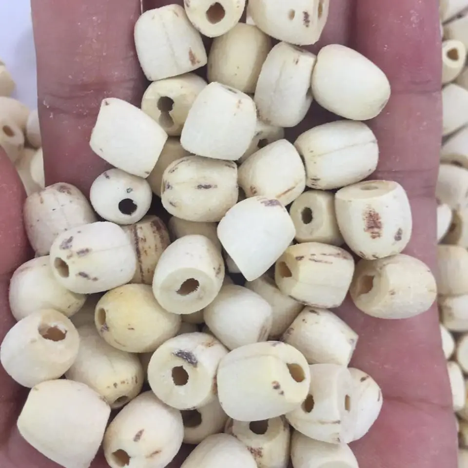 WHITE LOTUS SEED good quality from Vietnam for sale , contact +84984418844 whatsapp