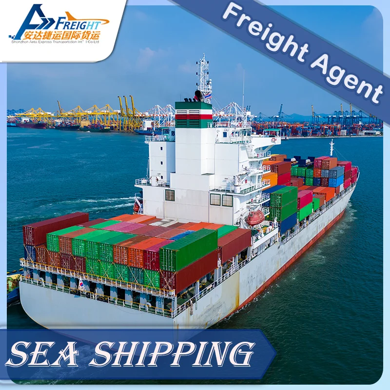 Reliable Sea Shipping Agent for Shenzhen to Estonia Logistic Forwarder Sea Shipping