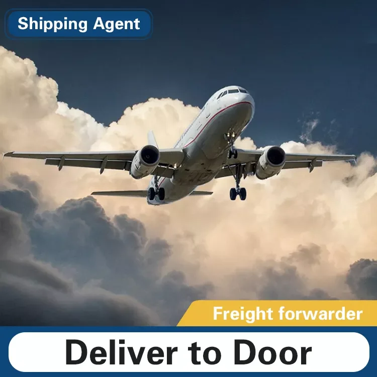 Cheap FCL/LCL sea transport from Qingdao China to ROUEN France USD/RMB agency