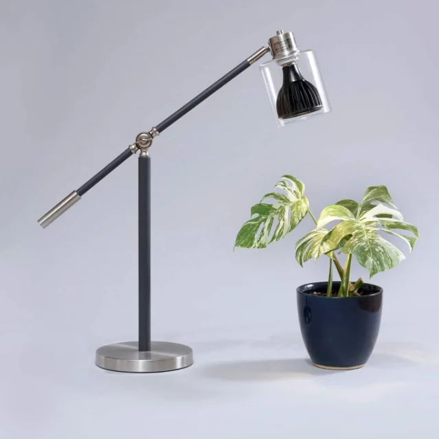 paste-pic-dp_uuid_lu8z1