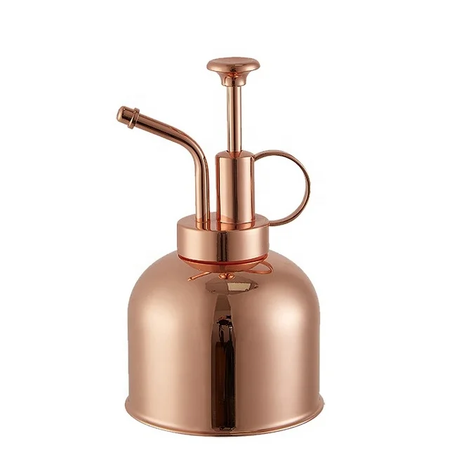 300ml Stainless Steel Nordic Style Vintage Plant Mister Spray Bottle with Top Pump